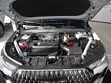 T7